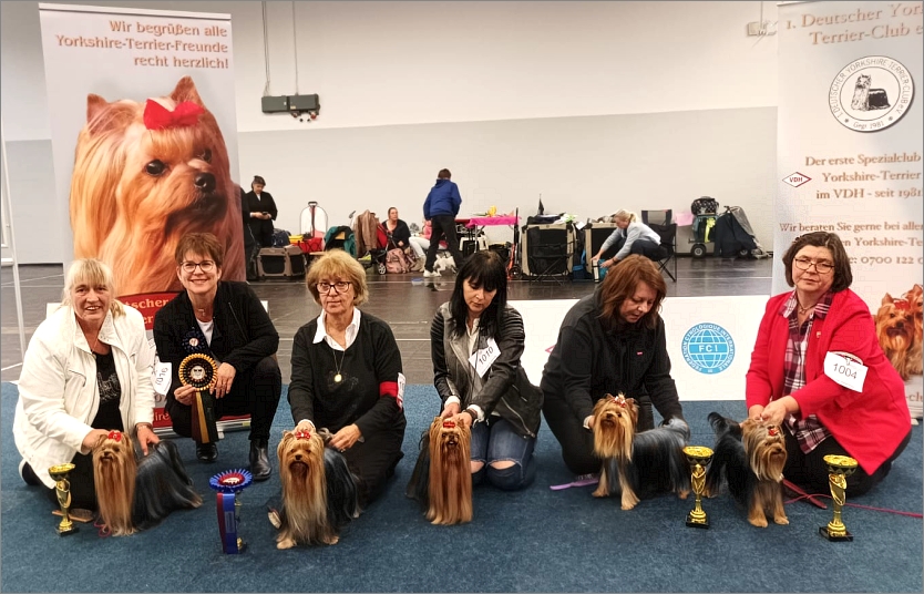 VDHBundessieger VDHBundessieger